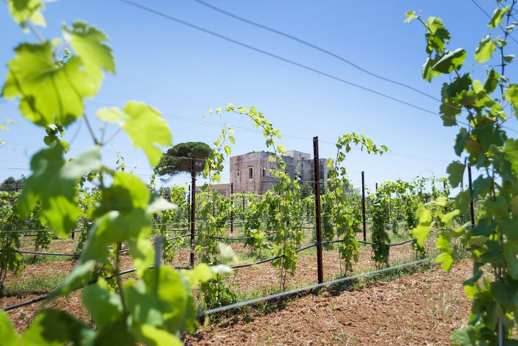 Tenuta Mose Charming House&Relais Gallipoli Exterior photo