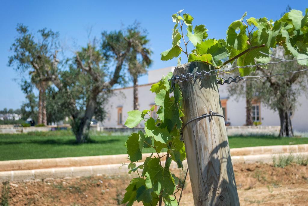 Tenuta Mose Charming House&Relais Gallipoli Exterior photo